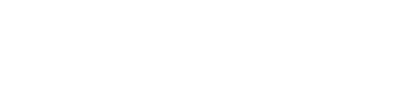 Maas-Elektronik