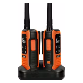 Alecto FR300OE