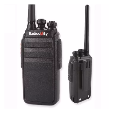 Radioddity R2
